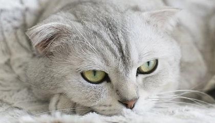 邹平伴游，定制QQ：3494206190微信：act1322